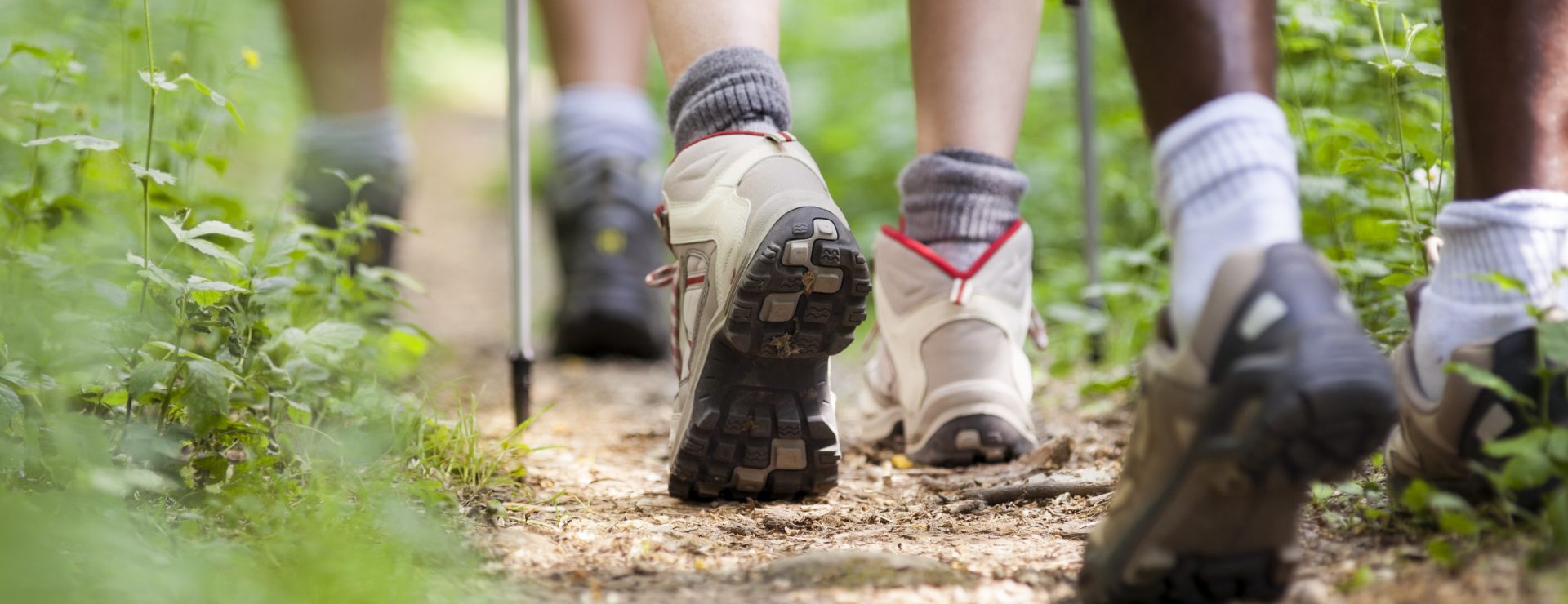 Podiatry