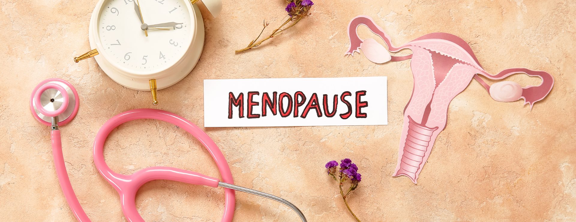 A clock and pink stethoscope next to a female reproductive diagram to represent the stages of the menopause.