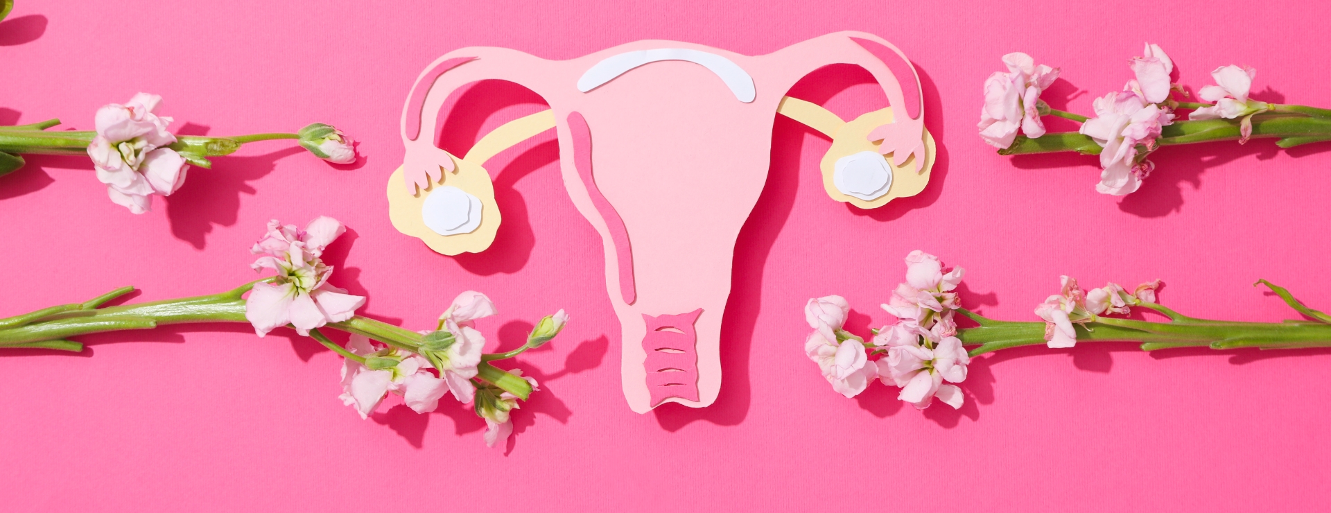 A flat lay illustration of a pink womb and ovaries on a bright pink background, decorated with fresh pink flowers.