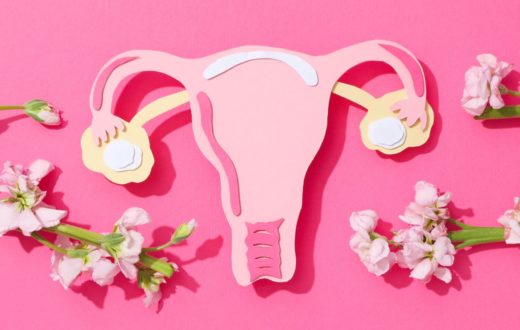 A flat lay illustration of a pink womb and ovaries on a bright pink background, decorated with fresh pink flowers.