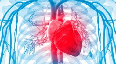 Private Cardiology Services