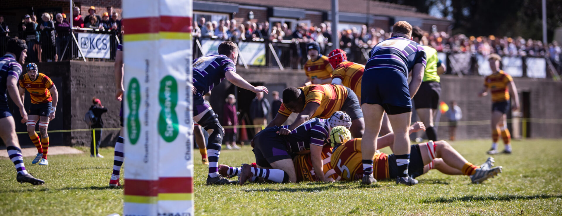 Rugby players in striped jerseys compete in a scrum on a sunny grass field with spectators in the background.