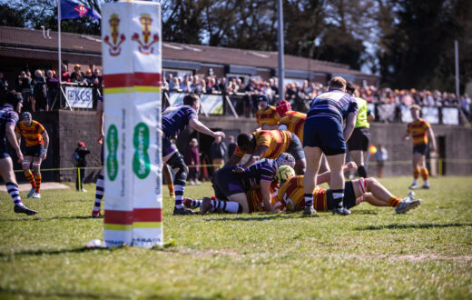 Rugby players in striped jerseys compete in a scrum on a sunny grass field with spectators in the background.